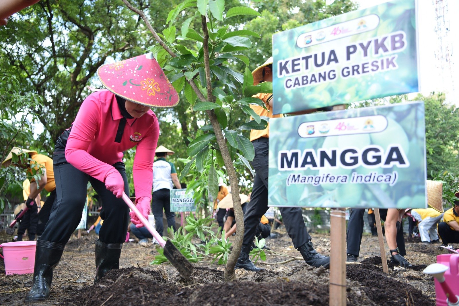 Hijaukan Gresik, Yayasan Kemala Bhayangkari Tanam Puluhan Pohon Produktif di Asrama Randuagung