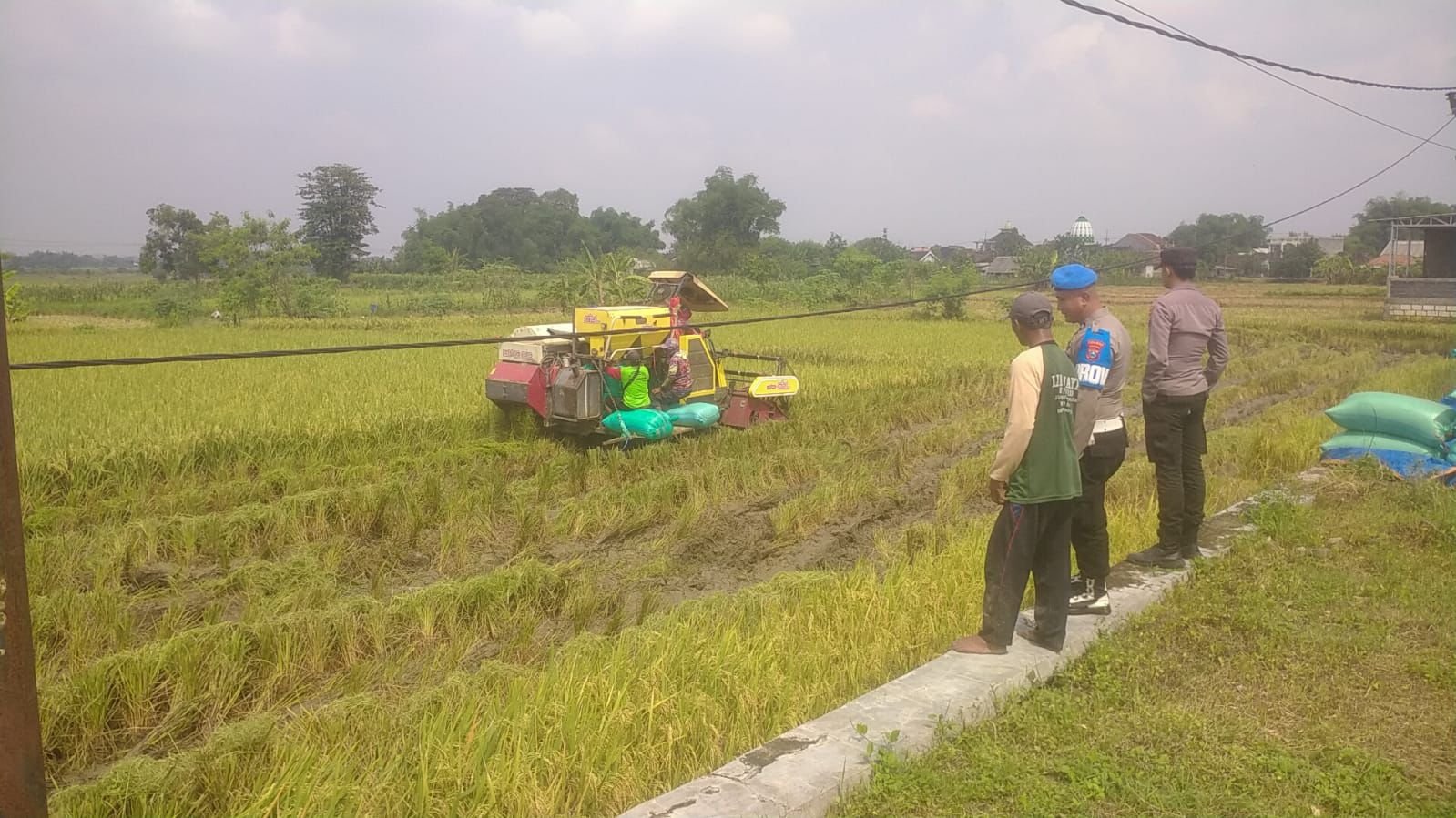 Polres Gresik Perkuat Ketahanan Pangan Melalui Pendampingan Petani di Wilayah Balongpanggang