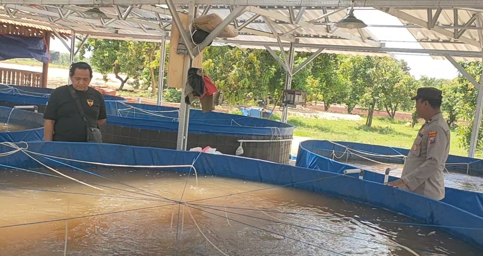 Dukung Ketahanan Pangan, Bhabinkamtibmas Beri Pendampingan Peternak Lele di Sidayu