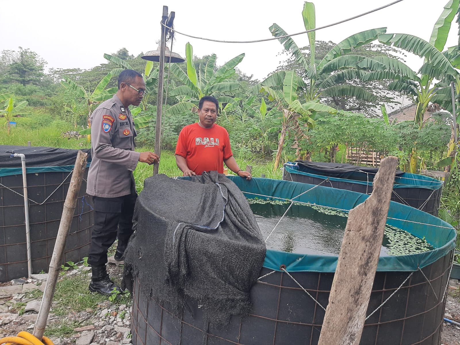 Polri Dukung Ketahanan Pangan, Personel Polres Gresik Monitoring Budidaya Lele di Desa Kembangan