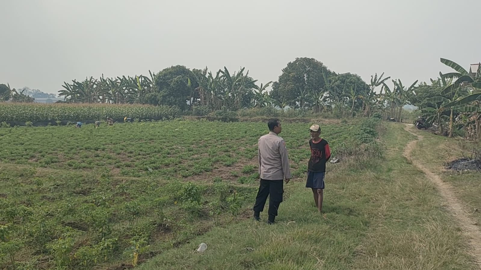 ​Sambangi Petani di Desa Wadeng, Kapolsek Sidayu Serap Aspirasi dan Kendala Budidaya Cabai