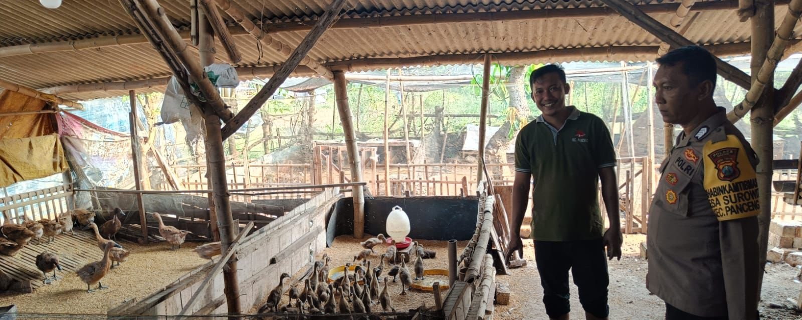 Polri Hadir untuk Peternak, Polsek Panceng Cek Peternakan Bebek Warga di Gresik
