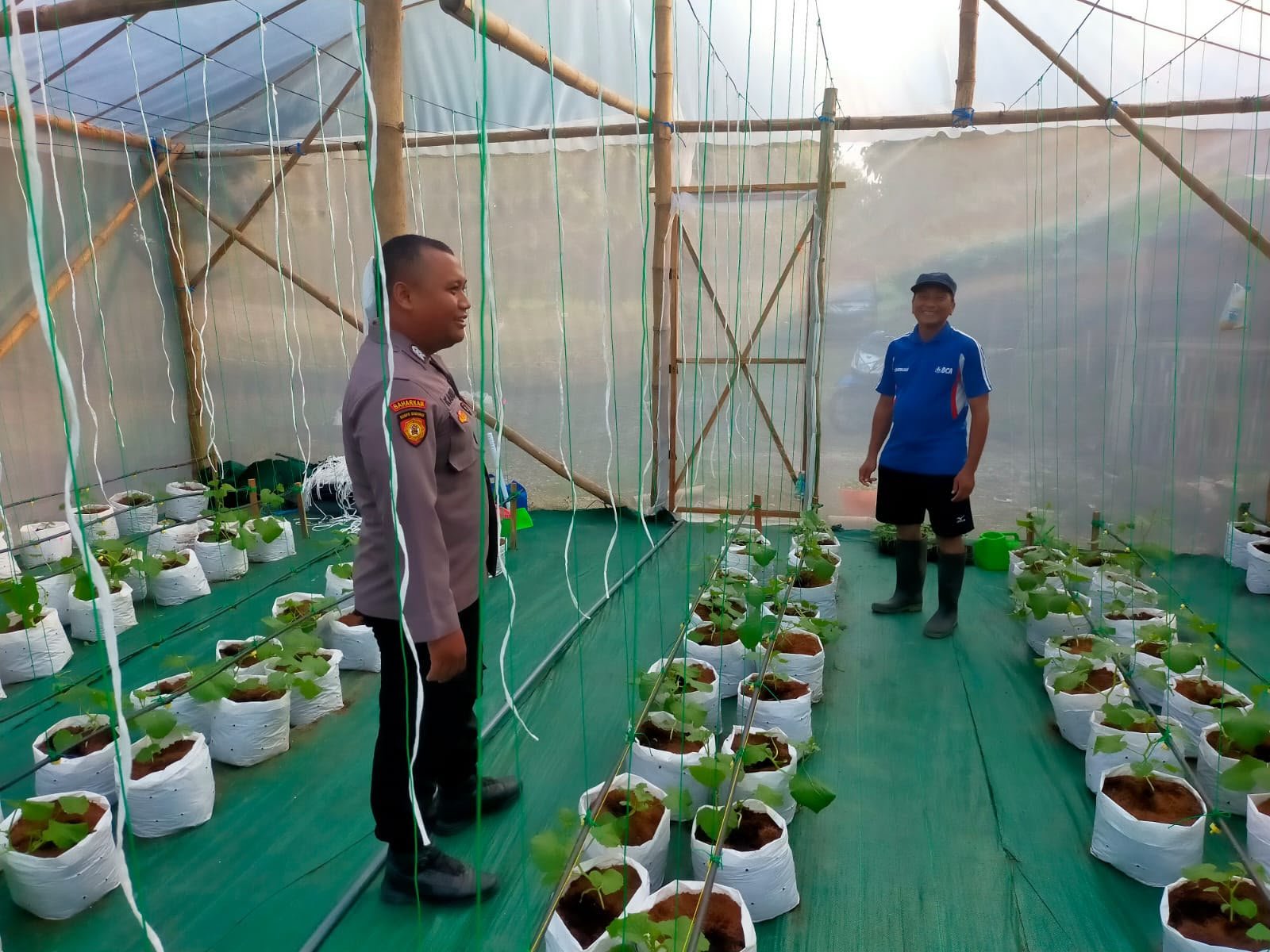Bukan Cuma Jaga Keamanan, Polsek Dukun Gresik Kini Jadi “Sahabat” Petani Melon