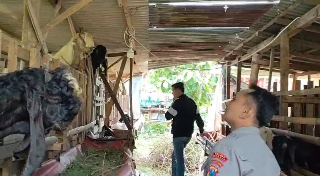 Polres Gresik Konsisten Dukung Ketahanan Pangan Lewat Pendampingan Peternak Kambing