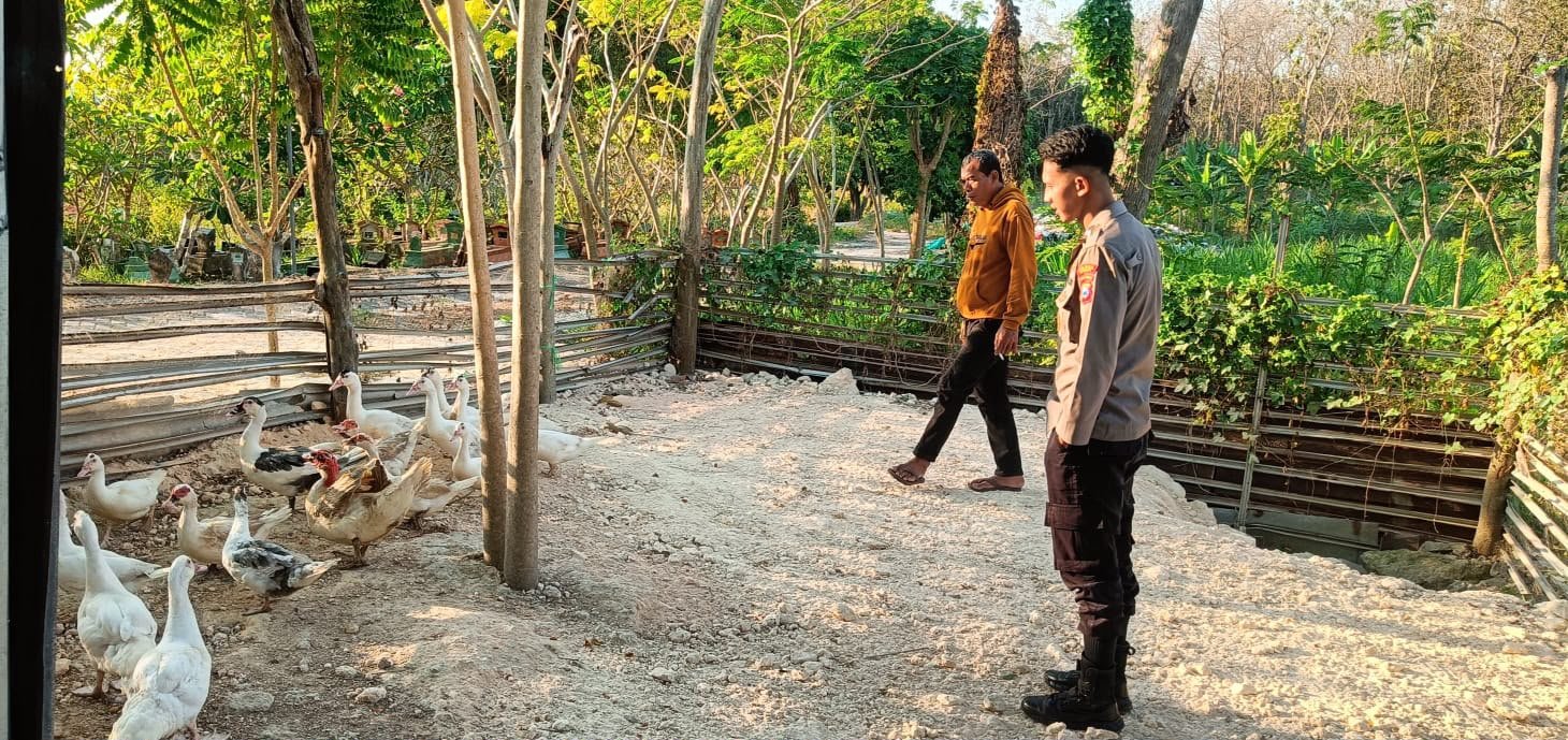 Polres Gresik Turun ke Peternakan Bebek, Wujud Nyata Dukung Ketahanan Pangan Nasional