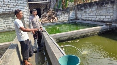 Sinergi dengan Pembudidaya, Polsek Bungah Dorong Ketahanan Pangan Lewat Budidaya Lele