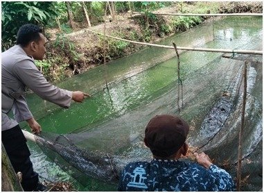 Pastikan Produktivitas Perikanan, Polsek Benjeng Cek Kolam Lele Warga di Bengkelolor