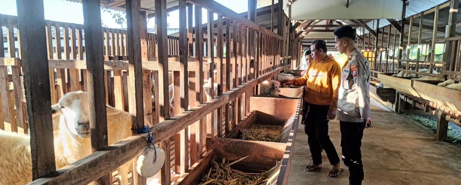 Dukung Swasembada Pangan, Polsek Panceng Pantau Peternakan Kambing di Desa Prupuh