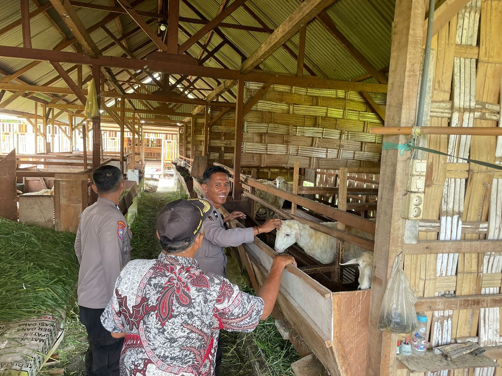 Polsek Manyar Cek Peternakan Kambing di Desa Peganden, Dukung Ketahanan Pangan Nasional