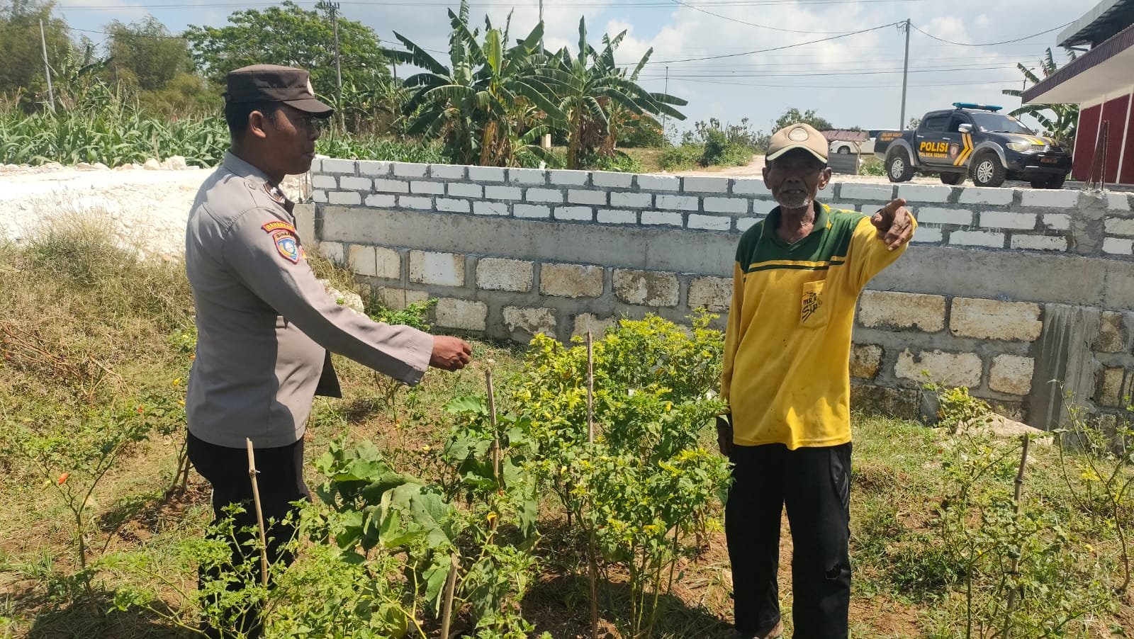 Dukung Swasembada Pangan, Polsek Sidayu Pantau Budidaya Cabai di Desa Wadeng