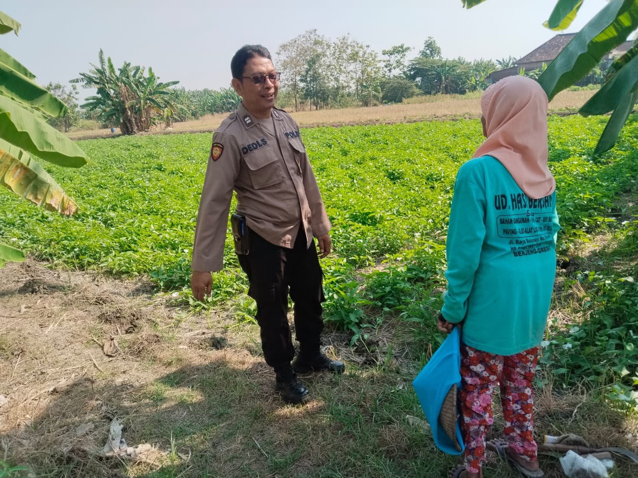 Produktifkan Lahan Pertanian, Polres Gresik Cek Tanaman Kangkung di Benjeng