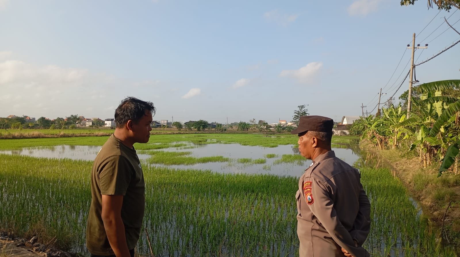 Perkuat Ketahanan Pangan, Polsek Duduksampeyan Intensif Pantau Pertanian Padi Warga