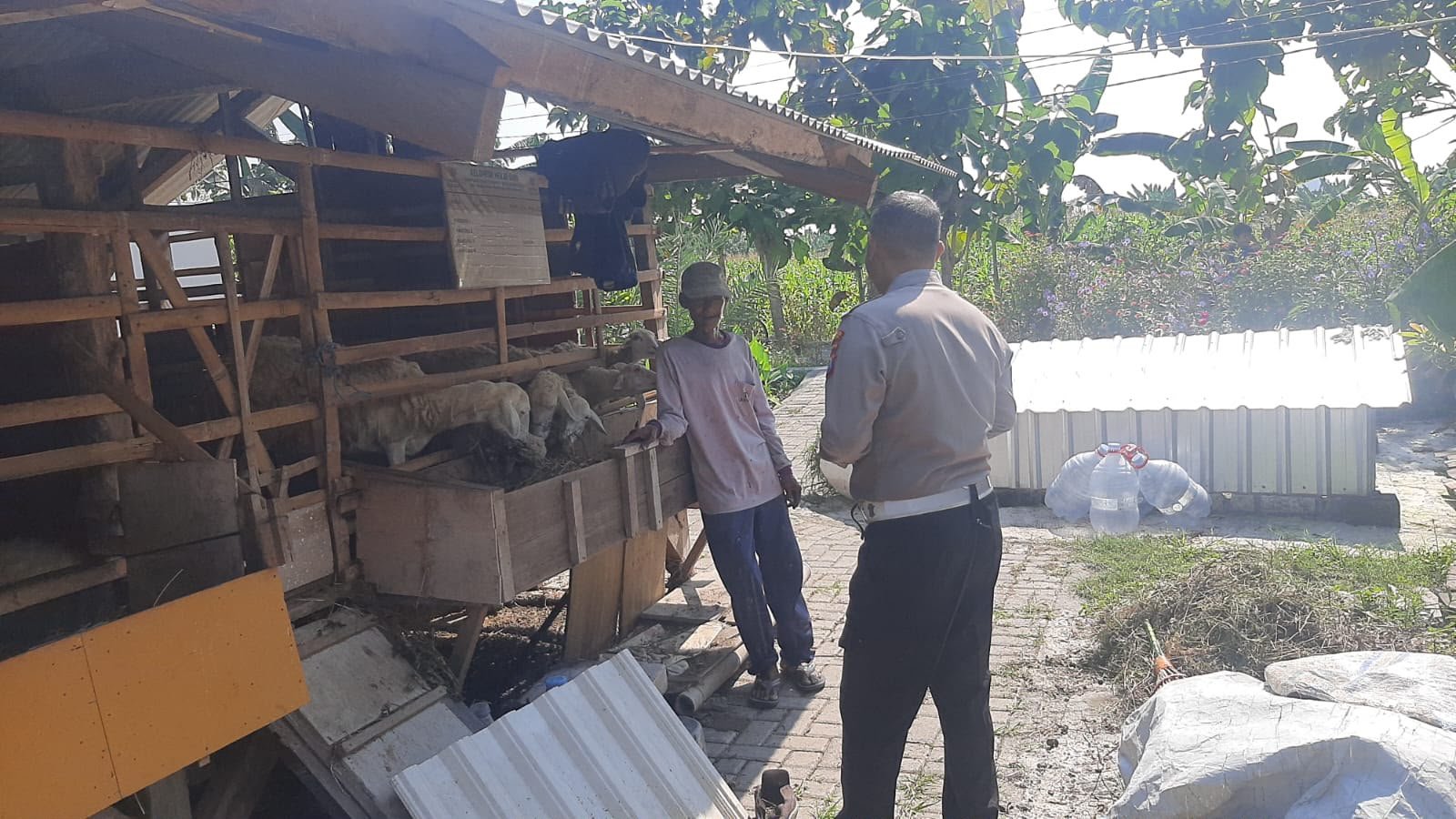Peternakan Kambing Jadi Sasaran Pemantauan, Polsek Kebomas Dukung Asta Cita