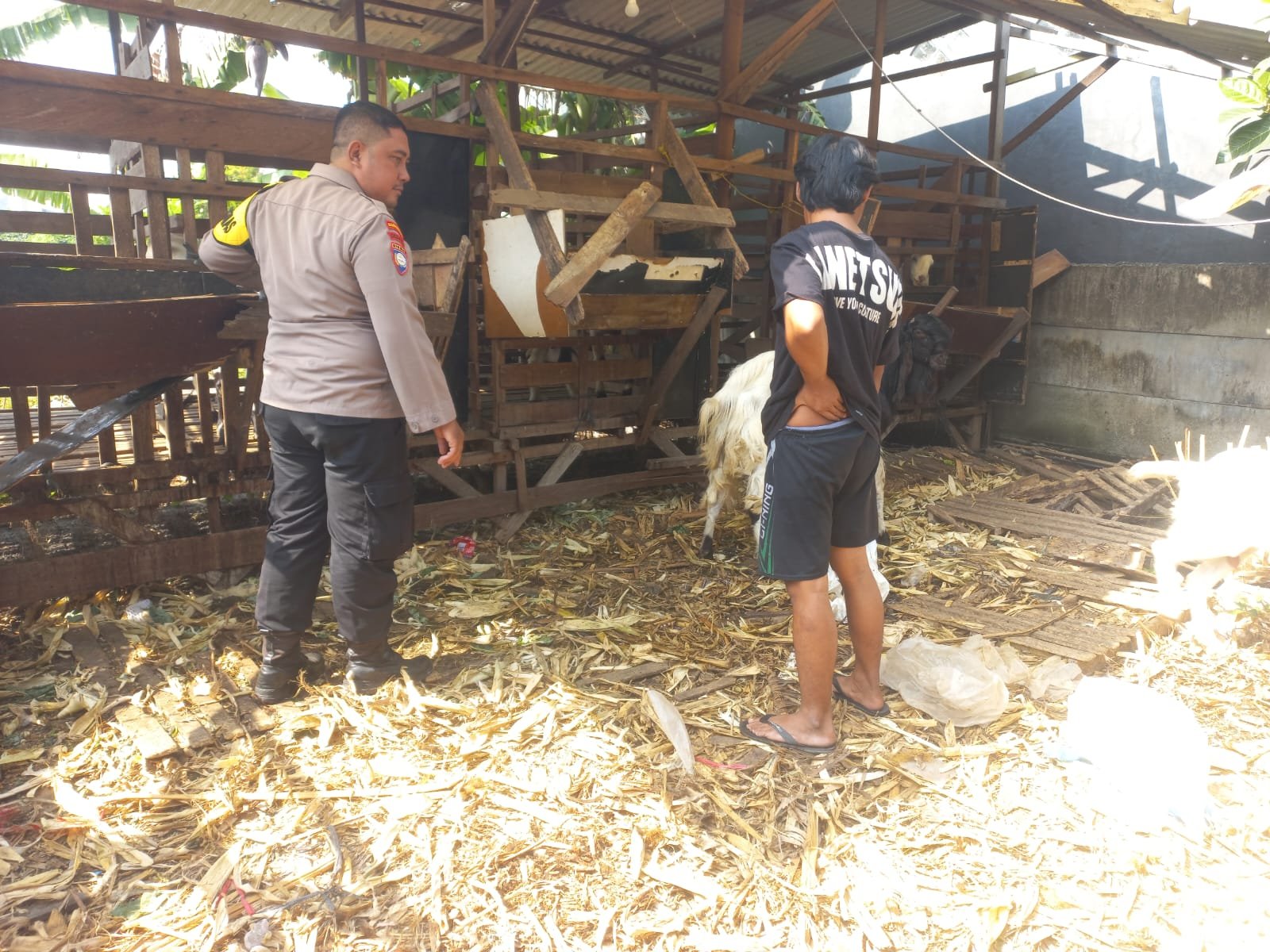 Polsek Cerme Aktif Kawal Ketahanan Pangan Lewat Pemantauan Ternak Kambing