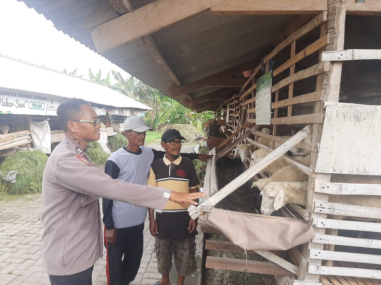 Cek Kondisi Ternak, Polsek Kebomas Dukung Pengelolaan Peternakan Kambing Berkelanjutan