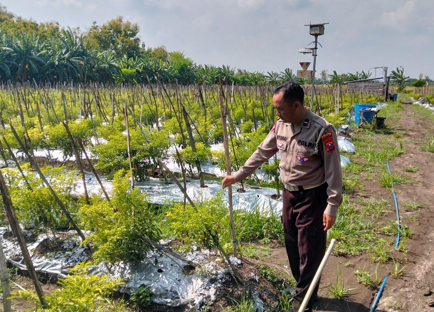 Wujudkan Swasembada Pangan, Polsek Kawasan Pelabuhan Pantau Budidaya Ikan di Wilayah Pelabuhan
