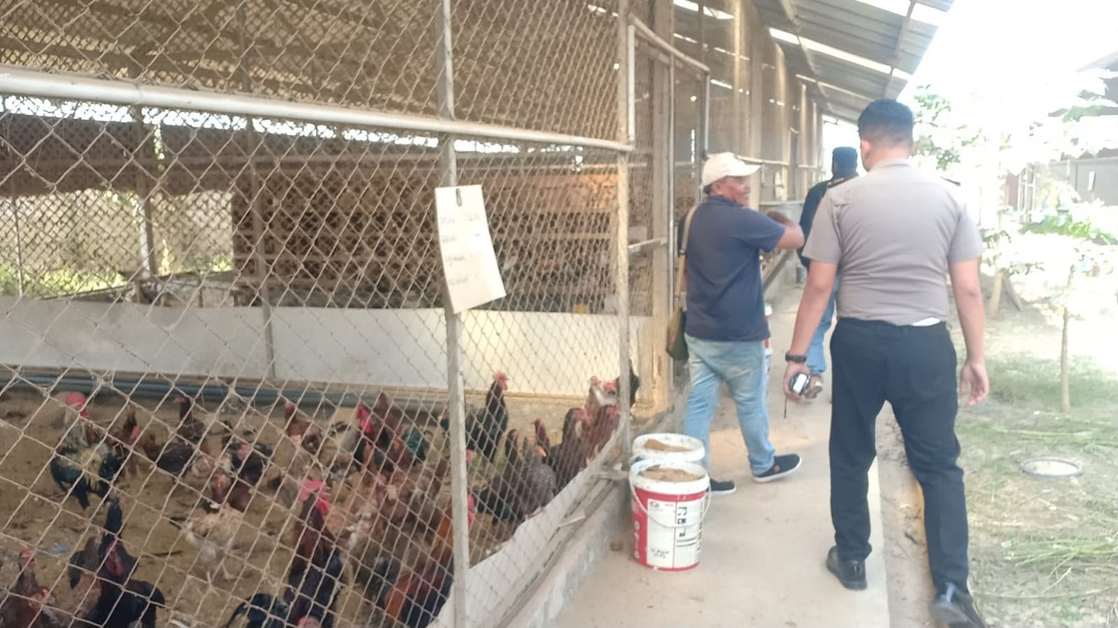 ​Tindak Lanjuti Arahan Polda Jatim, Polsek Kedamean Tinjau Peternakan Ayam Sidoraharjo