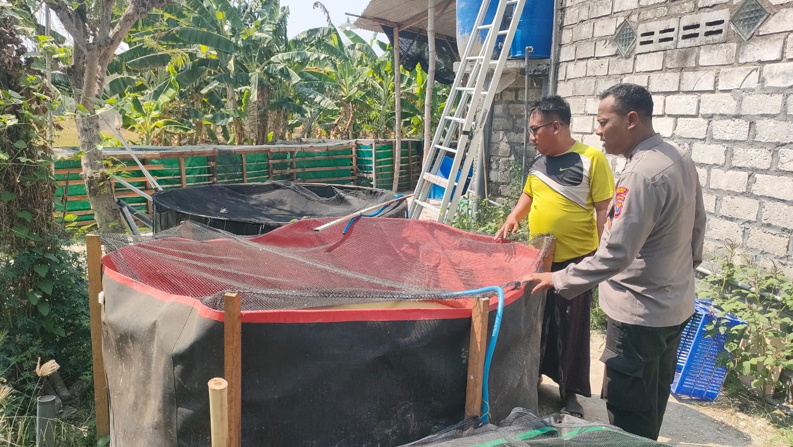 Jaga Stok Pangan Lokal, Kapolsek Sidayu Tinjau Keberlangsungan Kolam Lele Desa Ngawen