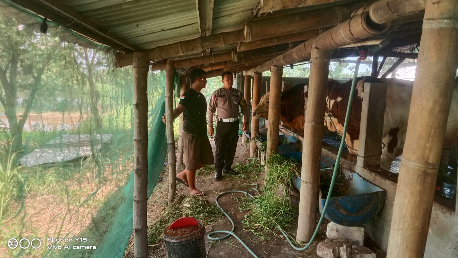 Dari Desa Periken, Polsek Driyorejo Dukung Pengembangan Peternakan Sapi