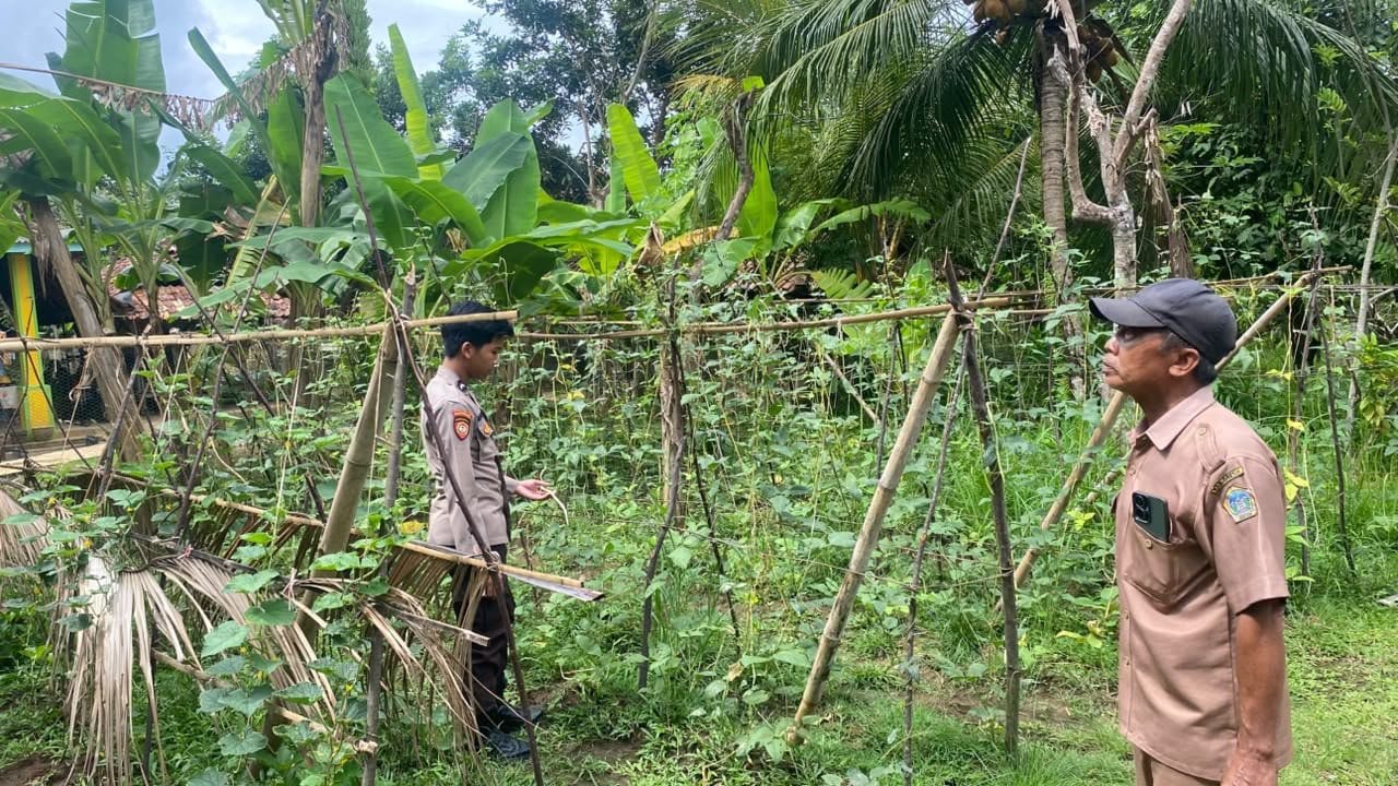 Jaga Ketersediaan Pangan Masyarakat, Polsek Sangkapura Pantau Pertanian di Desa Lebak